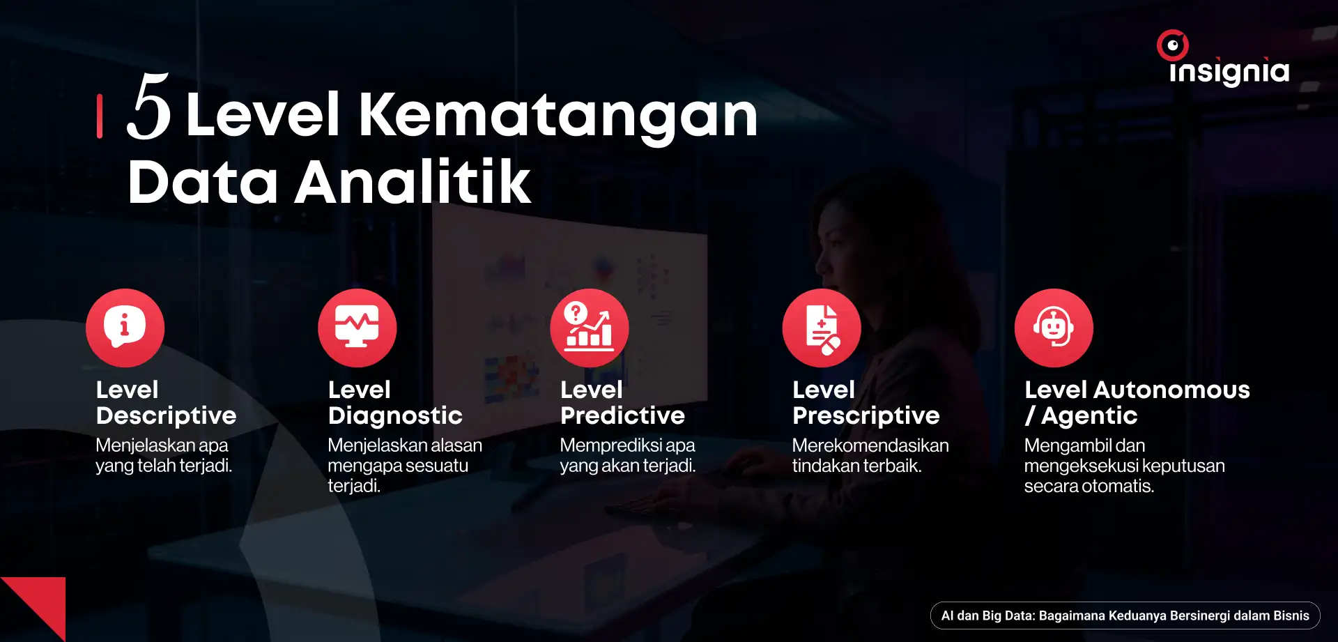 5 level kematangan data analitik